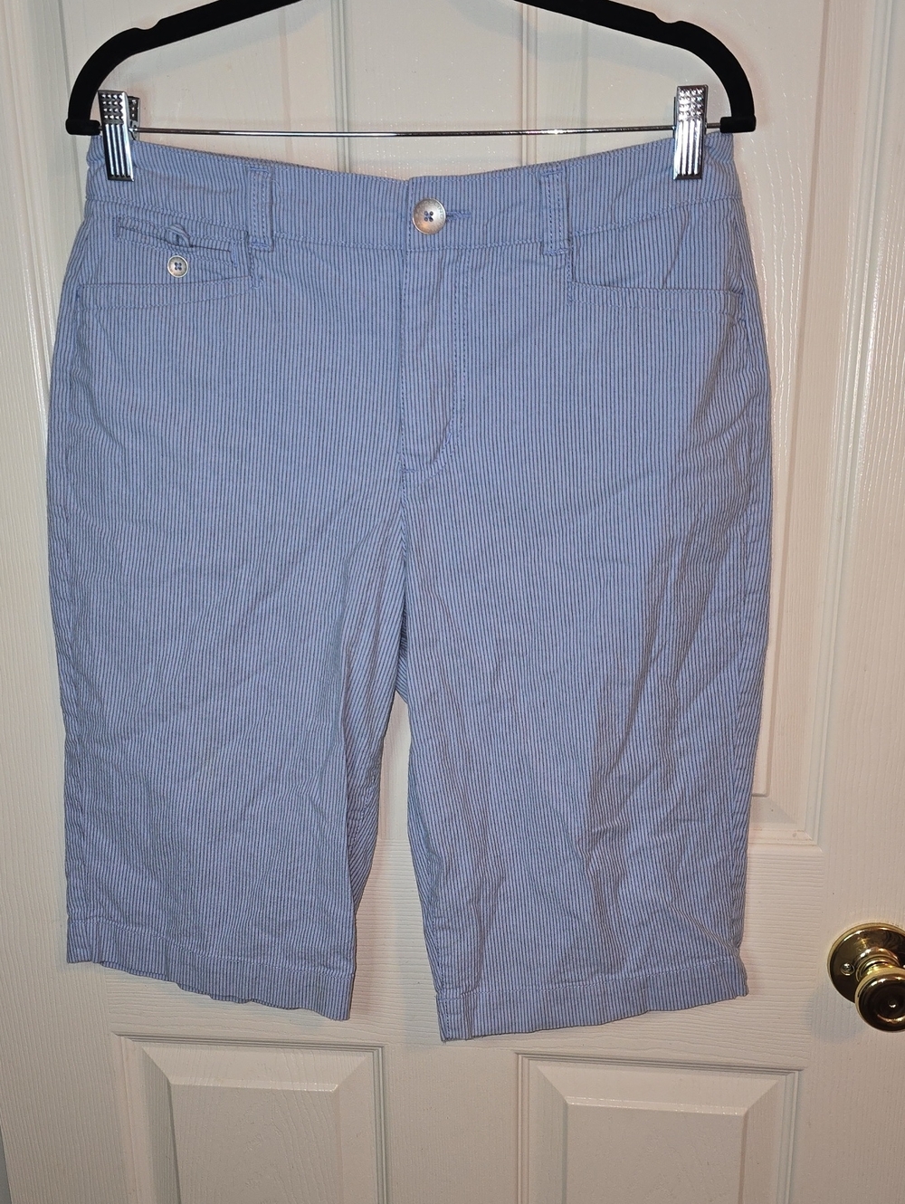Bandolino Blue and White Pinstripe Tailored Shorts